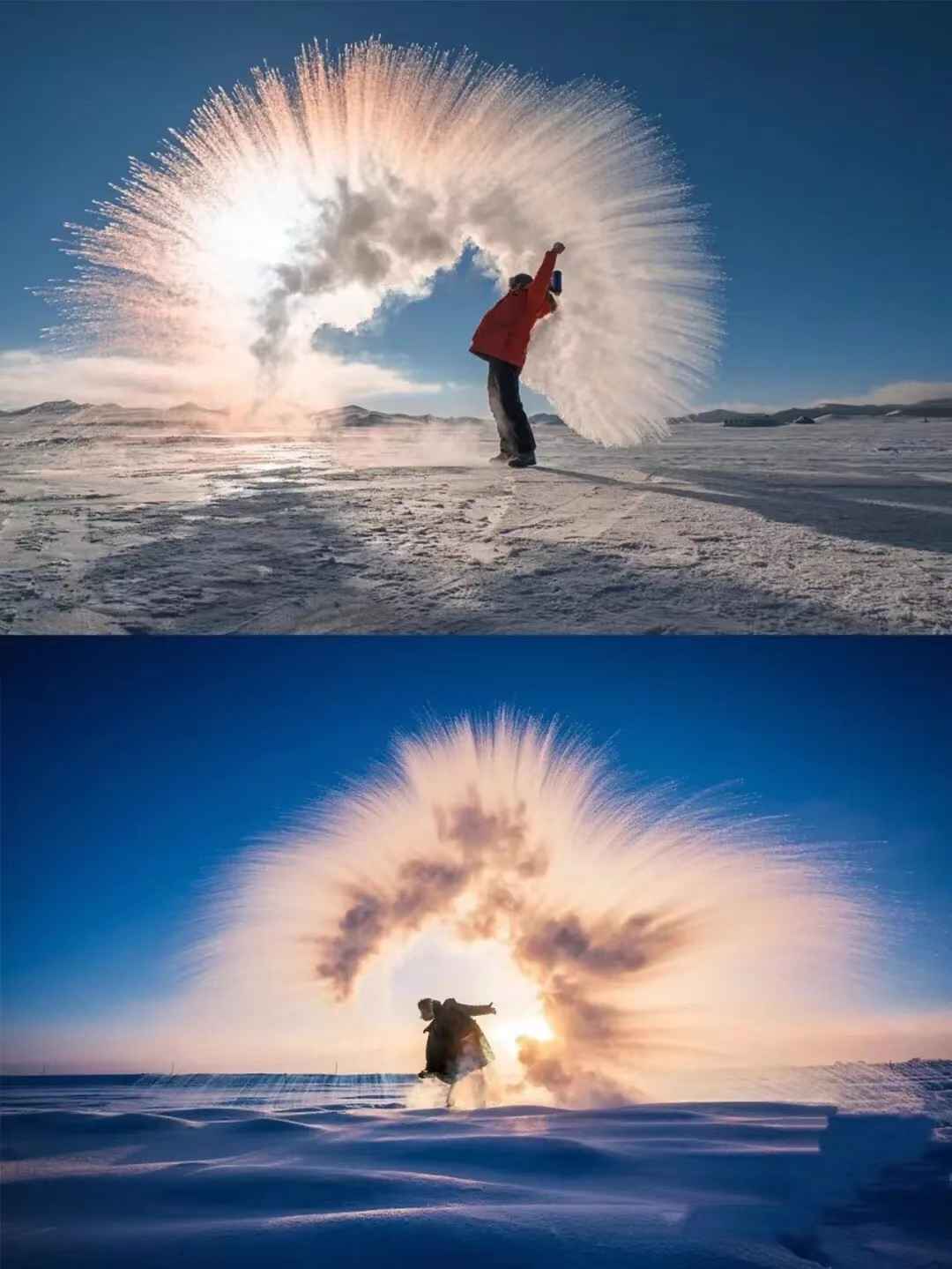 7856