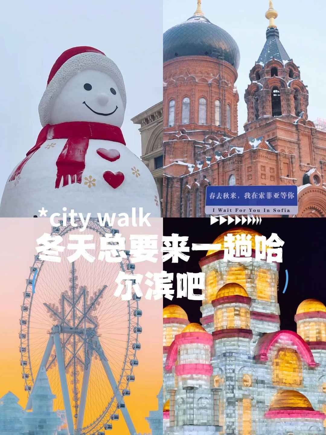423